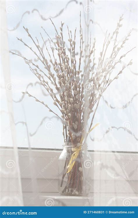 Branches Of Pussy Willow On Background Of Blue Sky Royalty Free Stock Photography