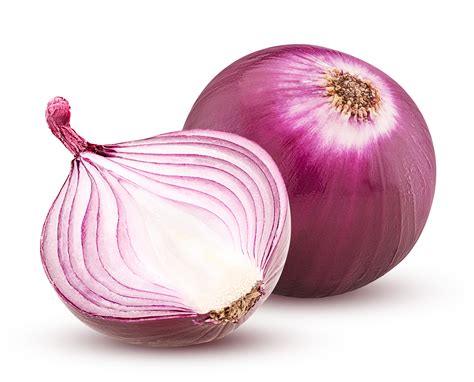 Red Burgundy Onion Seeds - Heirloom – Hometown Seeds