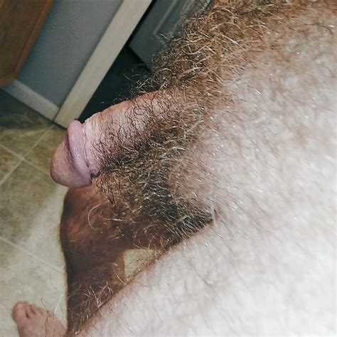Hairy Cock 13 Nude Pics XHamster