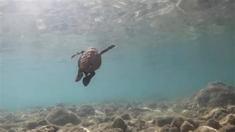 Nuevas tormentas cambiarán pronto el tiempo en wheaton-glenmont 16