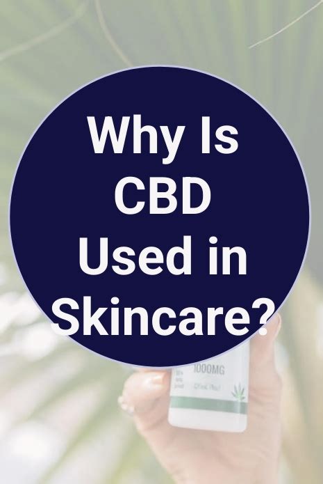 Why Is Cbd Used In Skincare Maxs Indoor Grow Shop