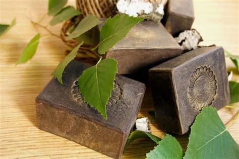 6 косметических средств для людей, которые подходят собакам