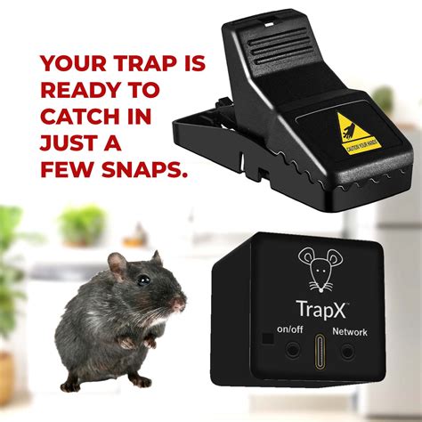 The Ultimate Guide To Humane Rodent Traps Ensuring A Compassionate Ap
