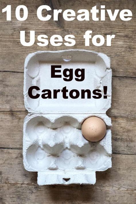 Creative Uses For Egg Cartons Turning The Clock Back