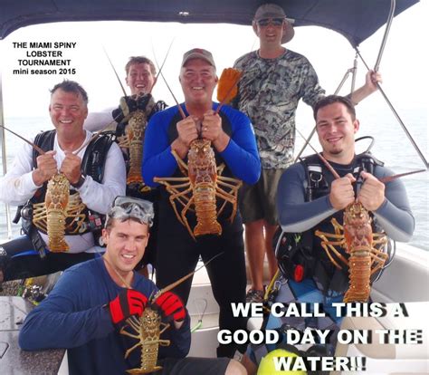 A Boat Load Of Lobsters For The Tournament 2015 Spiny Lobster