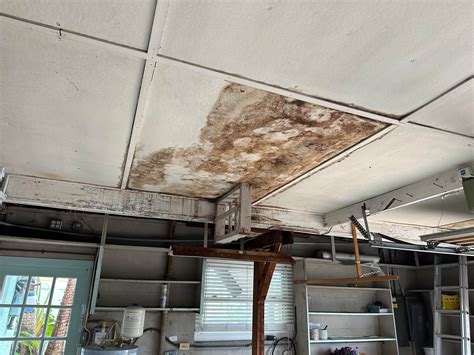 Common Mold Removal Mistakes to Avoid