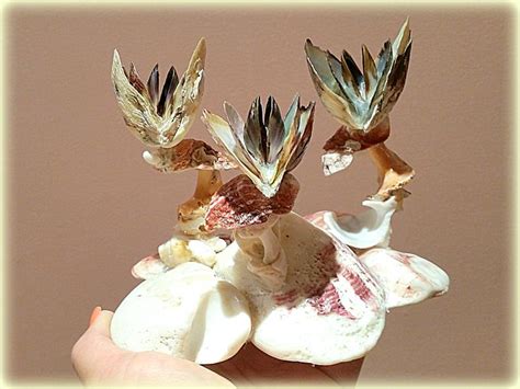 Перламутровые цветы