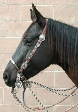 Fancy Headstalls | Horses, Headstalls for horses, Bling horse tack