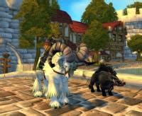 Hunter Lv 42 HARDCORE Realm Defias Pillager US Mount 60