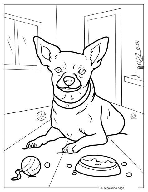 chihuahua coloring pages 5