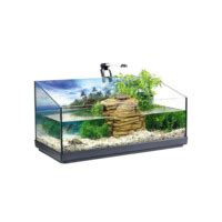 Tetra Reptoaquaset à Prix Carrefour