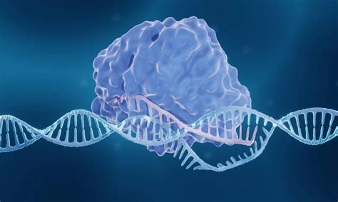 The Crispr Cas9 Revolution A Snapshot Of Modern Gene Editing