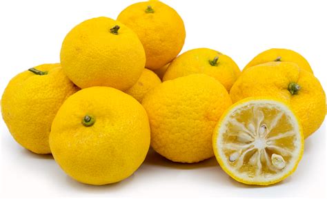 how to pronounce yuzu