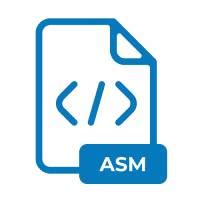 asm file extension    asm format    open