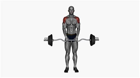 Mastering The Upright Row Ez Bar Exercise A Beginners Guide 1000