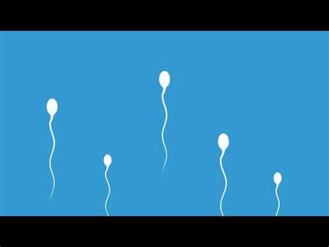 Coito interrumpido eyaculación por fuera de la vagina I Qué es y cómo funciona terminar por