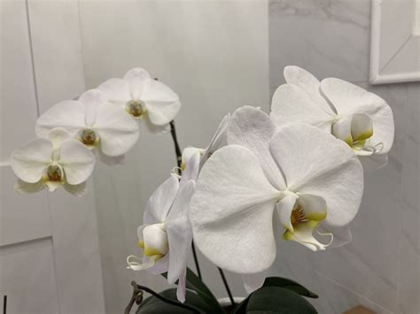 TRACKING SEVERE WEATHER | We're tracking severe weather. | By WTVA