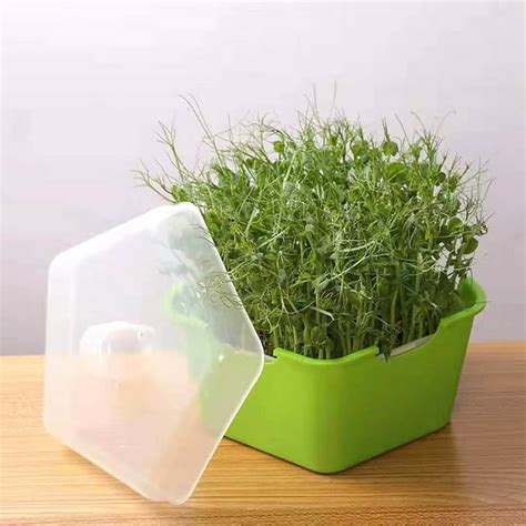 Seed Sprouter Tray With Lid Plant Germination Tray Bean Sprout Grower