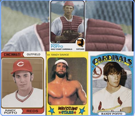 Randy Poffo Baseball Cards Sports World Cards