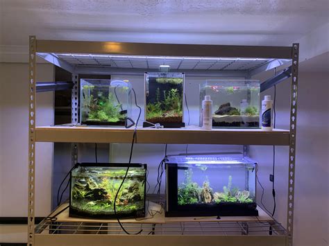 Fishroom is a mess but it’s getting there : r/Aquariums