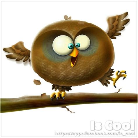 Gufo Funny Owls, Funny Animals, Rapace Nocturne, Owl Bags, Whimsical ...