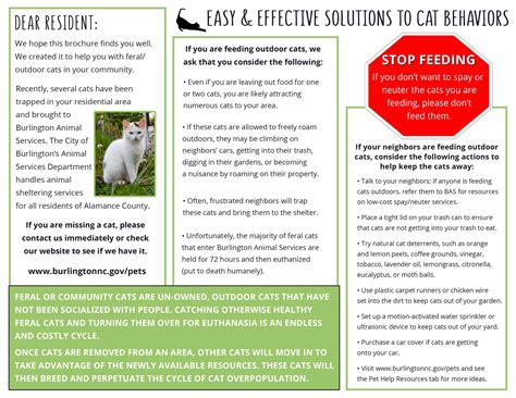 Mighty Mousers & Free-Roaming Community Cats | Burlington, NC