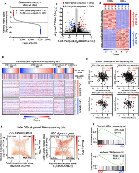 Determination Of Dgc Specific Transcriptomic Signatures And Their