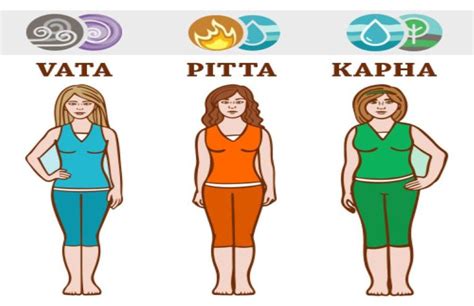 Ayurveda types – Ayurveda Gyan