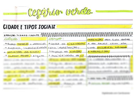 Solution Portugues Ces Rio Verde Mapa Mental Studypool