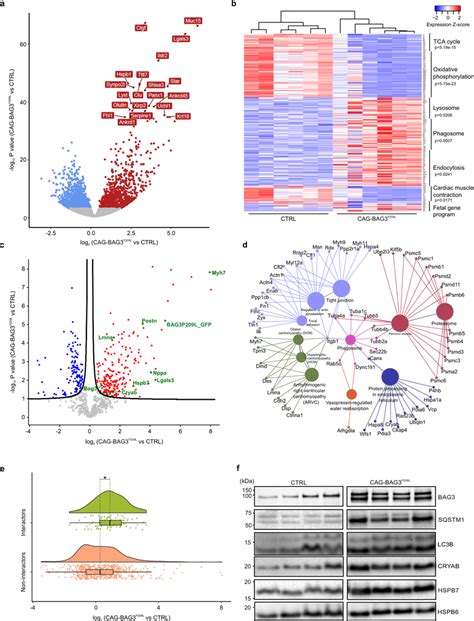 Integrated Proteomic And Transcriptomic Landscape Of 51 Off