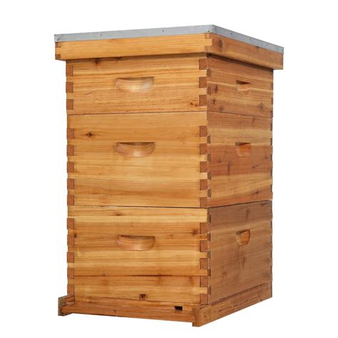 Vingli Frame Bee Hive Wax Coated Beehive Starter Kit With Frames