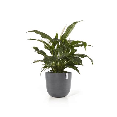 Ecopots Oslo 45 Grey