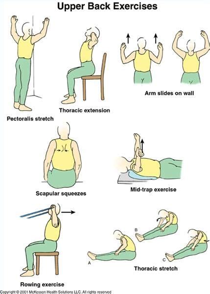 25 Best Images About Middle Back Pain Exercises On Pinterest Back