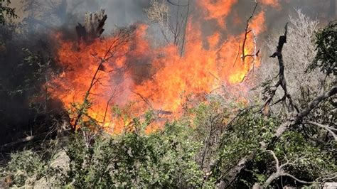 Siete De Cada Diez Incendios Forestales Son Por Acciones Humanas