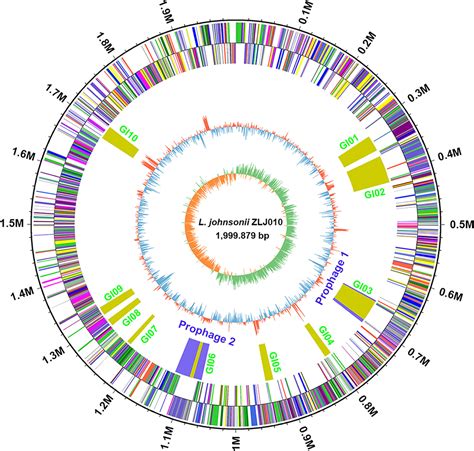 Frontiers Complete Genome Sequencing And Comparative Genome