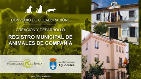 El Ayuntamiento De Aguadulce Firma Un Convenio Con El Colegio De