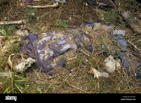 Genocide Massacre Rwanda Rwandan Hi Res Stock Photography And Images