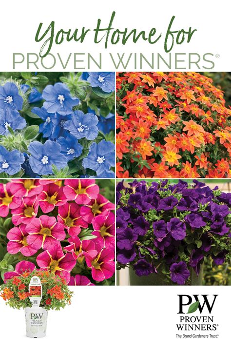 Your Home for Proven Winners® - Annuals Signage | Proven Winners