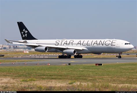 D AIGW Airbus A340 313 Lufthansa Joost Alexander JetPhotos