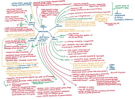Onenote Mindmap Erstellen