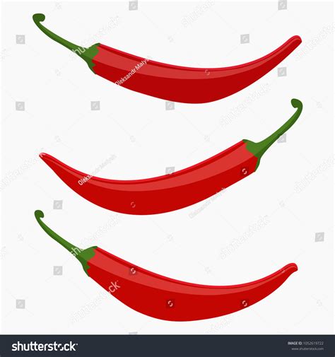 Red Hot Chili Pepper Set Vector Stock Vector Royalty Free Shutterstock