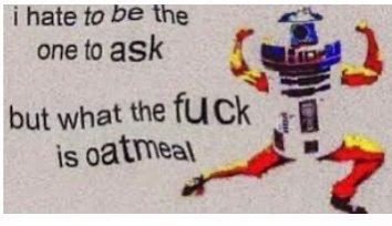 Meme Dump What The Fuck Is Oatmeal Memes Amino