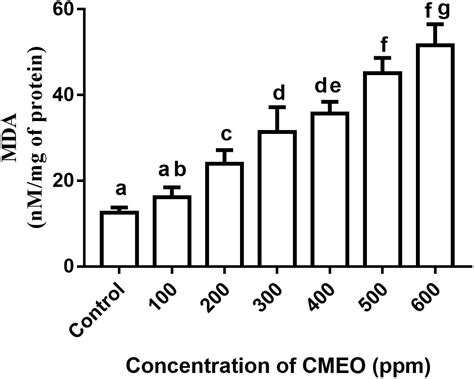 Frontiers Antifungal Activity Of Chitosan Nanoparticles Encapsulated