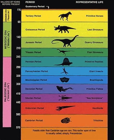 Geological Timeline Discover The History Of Earth