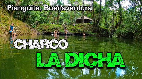 CHARCO LA DICHA Piangüita Buenaventura Muy POCOS conocen este lugar