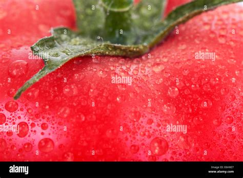 Red Tomato Close Up Texture Stock Photo Alamy