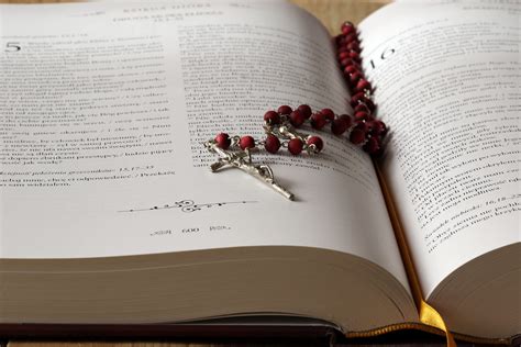 Livros Poéticos Da Bíblia 5