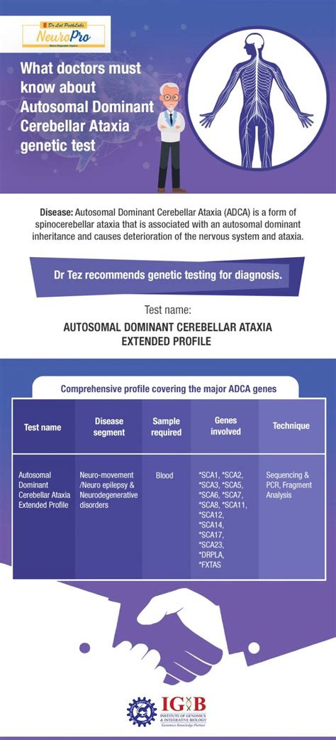 What Doctors Must Know About Autosomal Dominant Cerebellar Ataxia