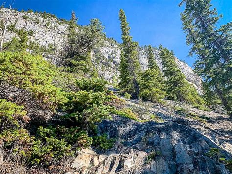 Hiking the Lake Minnewanka Trail in Banff - Travel Banff Canada