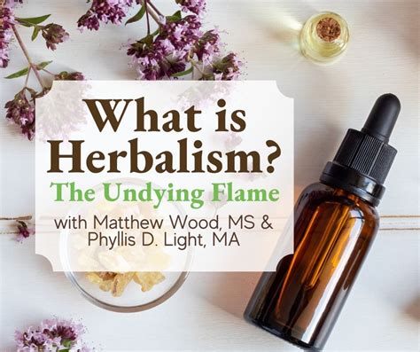 A Beginners Guide What is Herbalism?: The Undying Flame